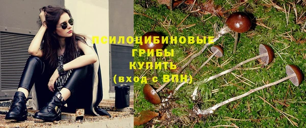 спиды Армянск