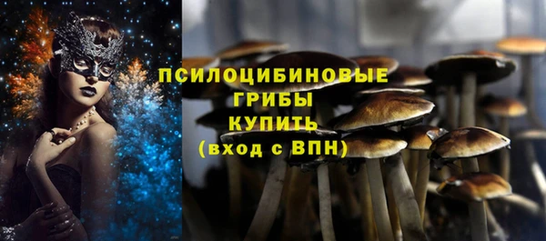 экстази Арсеньев